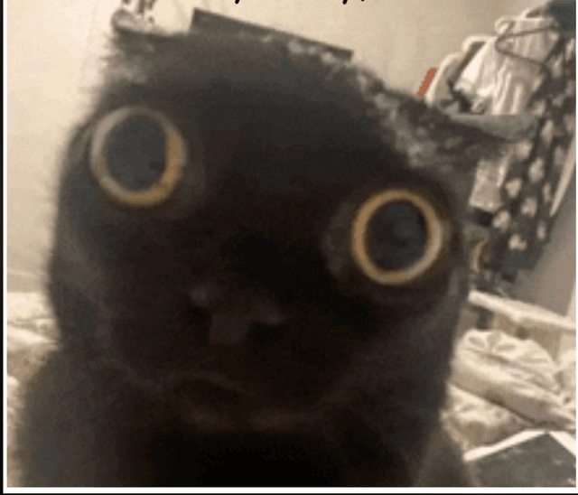 Caption Image 2759e648-7404-47de-8c73-b3f3c736987c