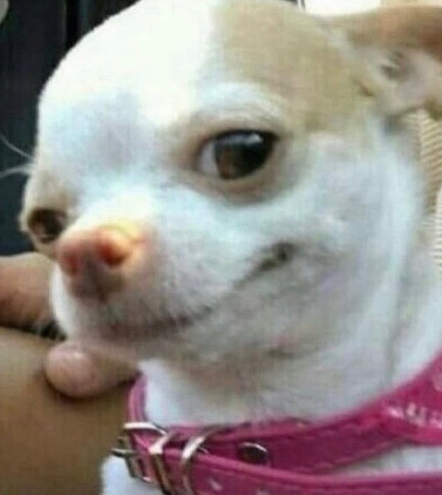 Caption Image 4d110f5b-c301-40d4-9ffc-0d462964ce0c