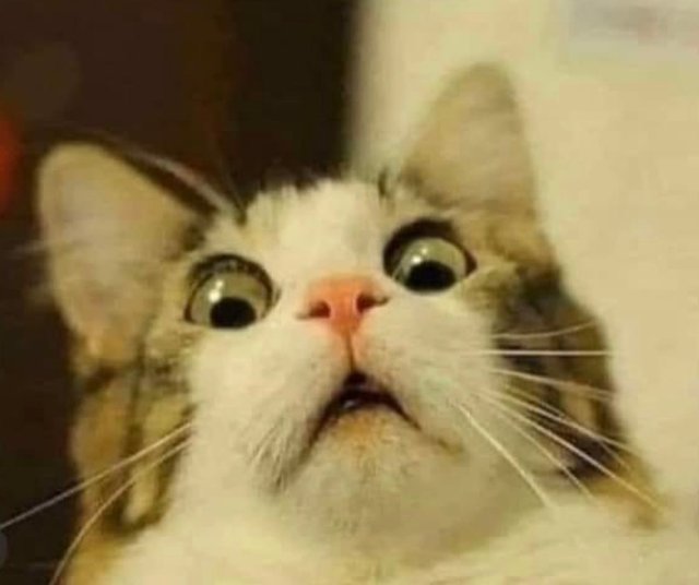 Caption Image 1e0e8978-e1ff-4821-8379-93217b9b4cd3