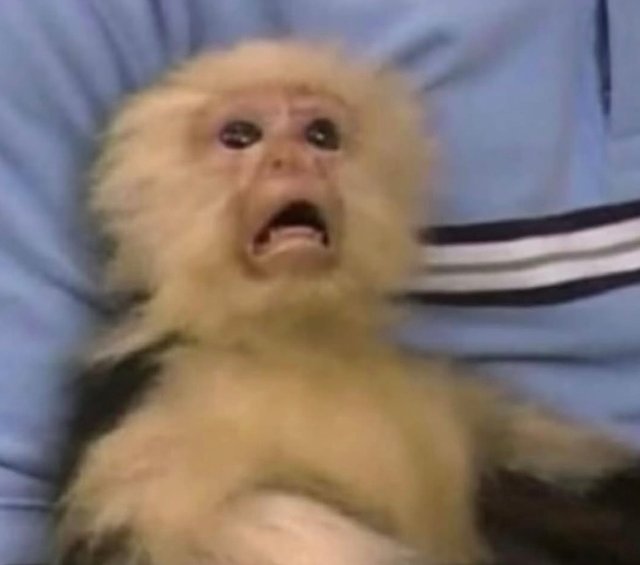 Caption Image 262f83d3-11bf-4f75-bc87-fdebb885d79b