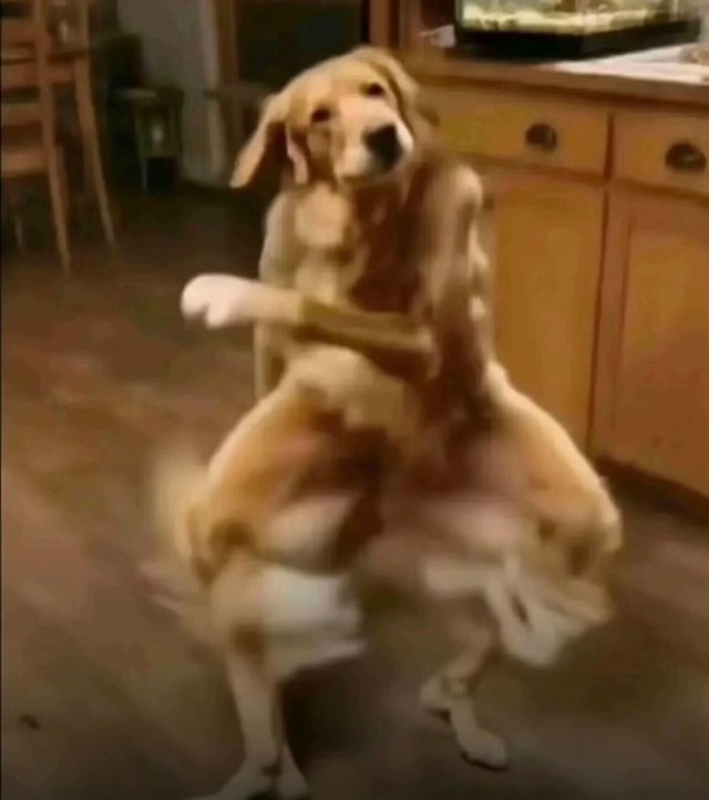 Caption Image 0be16b86-6bac-4c06-b5a9-711e56fb6a23